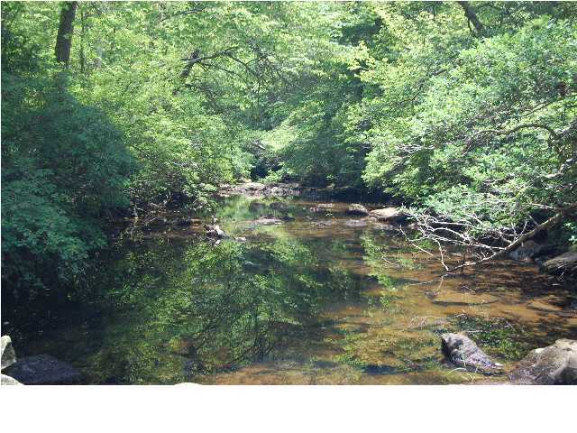 7709 Old State Road, Unit C Cloudland, GA 30731 - Photo 1 of 9 Primary Photo