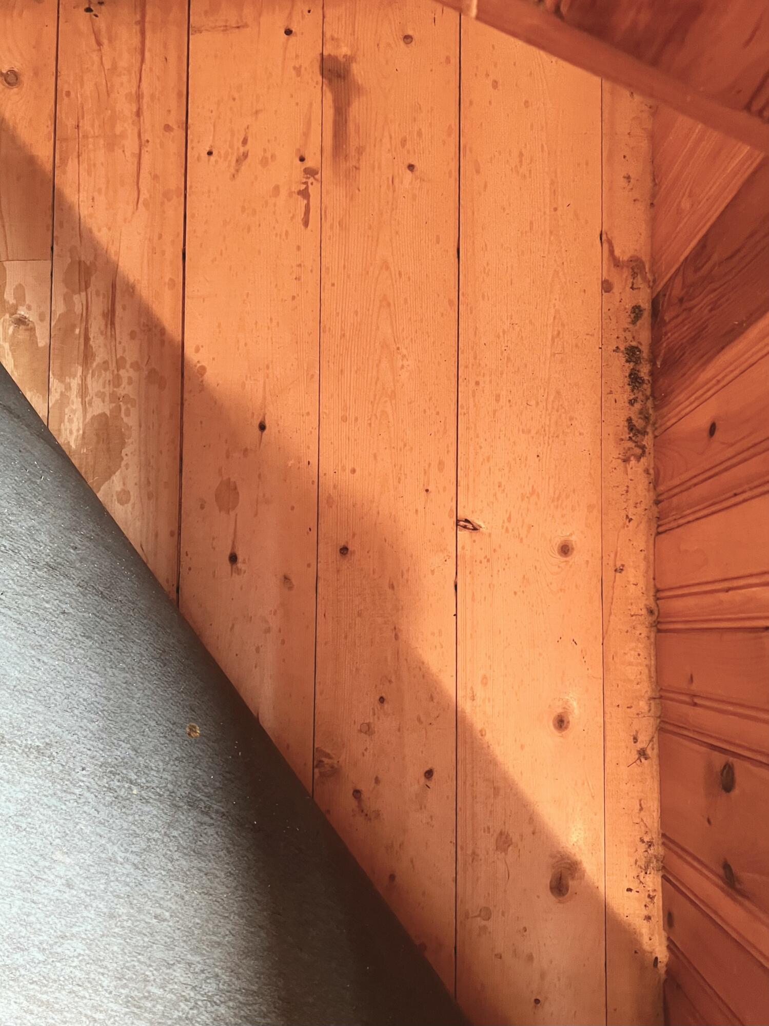 24 Chickadee Way Norway, ME 04268 - Photo 62 of 98 Wood Floors under current floors