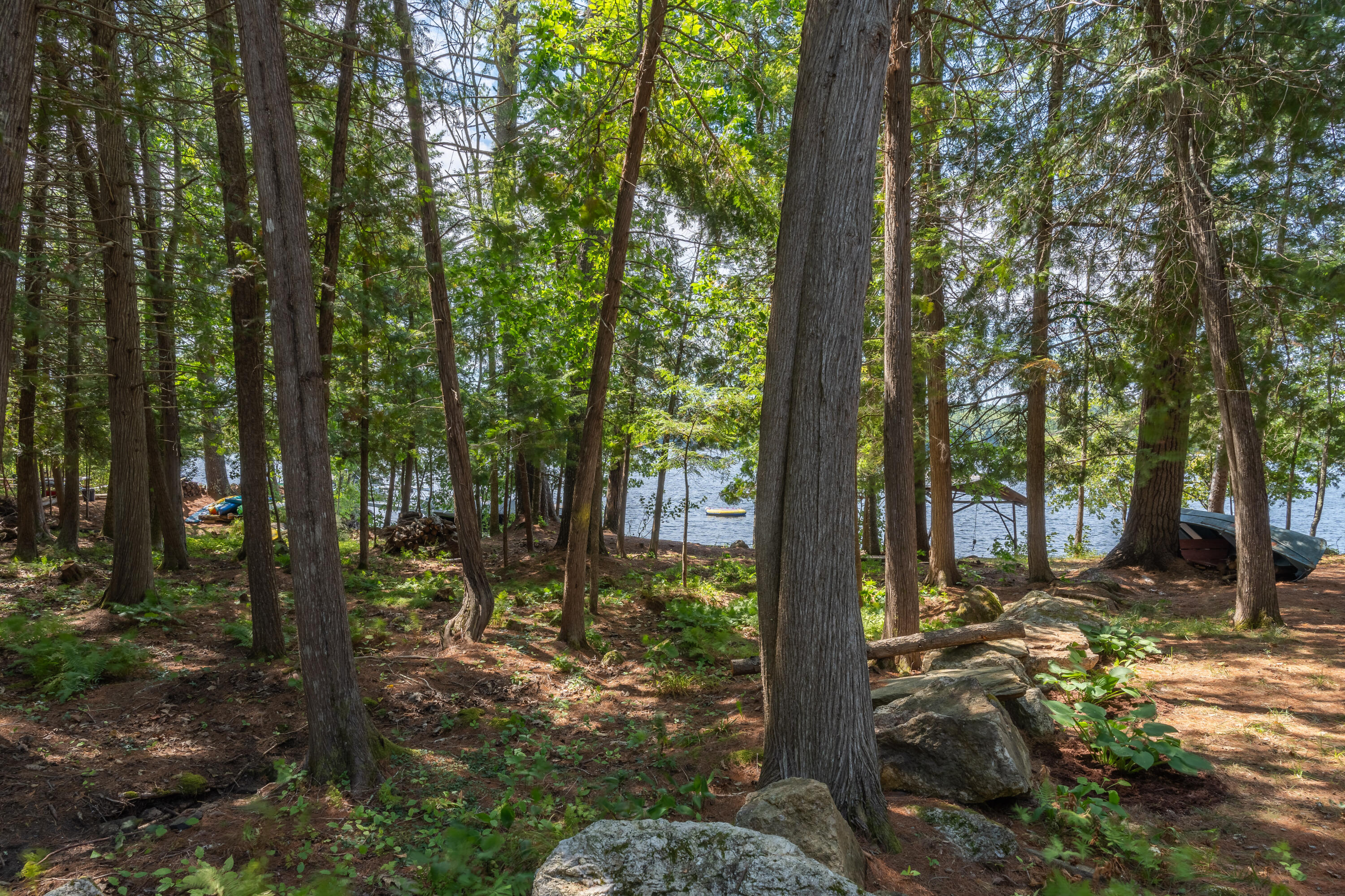 24 Chickadee Way Norway, ME 04268 - Photo 78 of 98 Wooded side yard