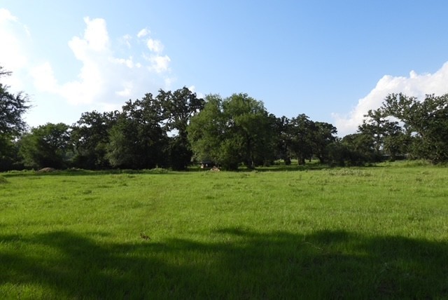 28322 Mellman Road Hempstead, TX 77445 - Photo 37 of 50