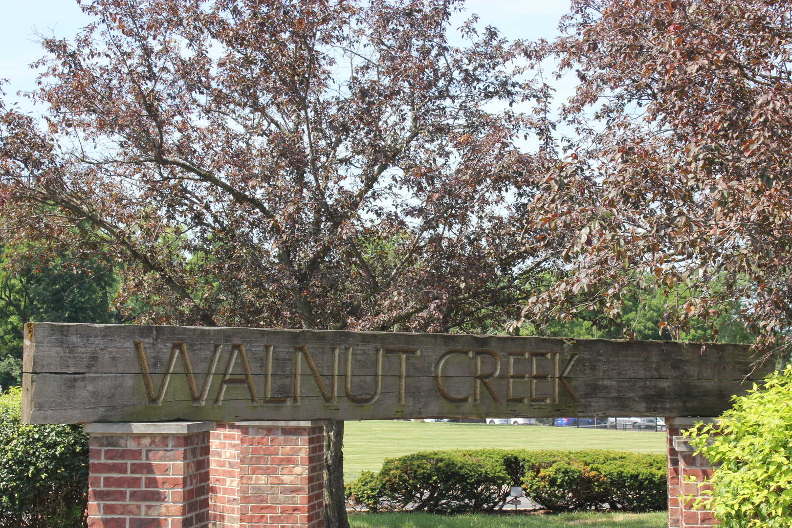 420 Walnut Creek Road, Unit 3105 Lisle, IL 60532 - Photo 11 of 15 a view of a backyard