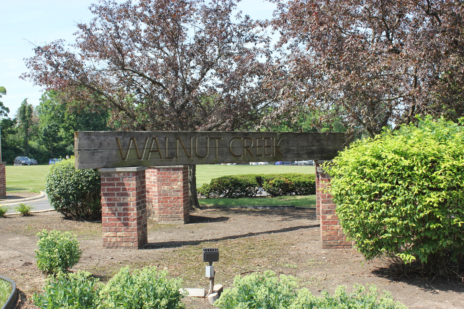 420 Walnut Creek Road, Unit 3105 Lisle, IL 60532 - Photo 10 of 15 a view of a garden with plants and a bench