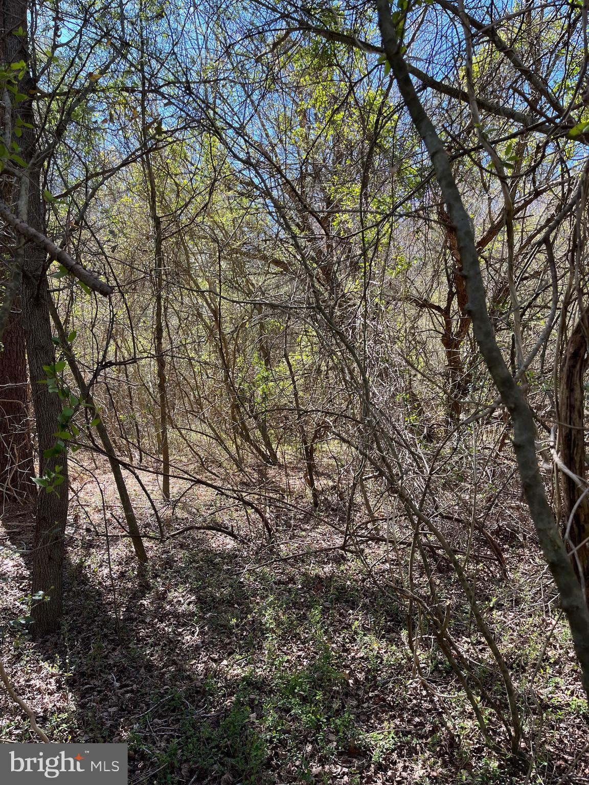 64 Unionville Road Pocomoke City, MD 21851 - Photo 1 of 5