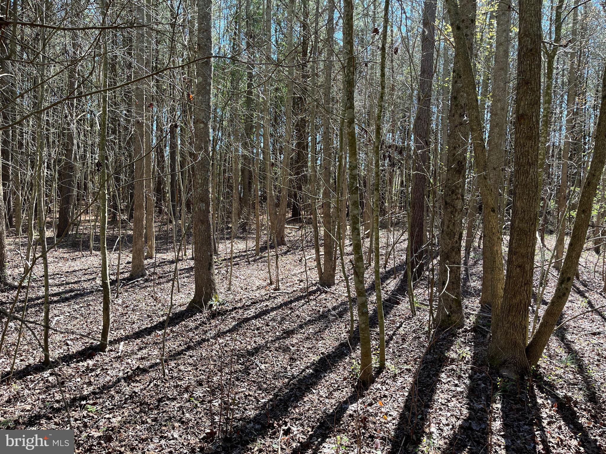 64 Unionville Road Pocomoke City, MD 21851 - Photo 3 of 5