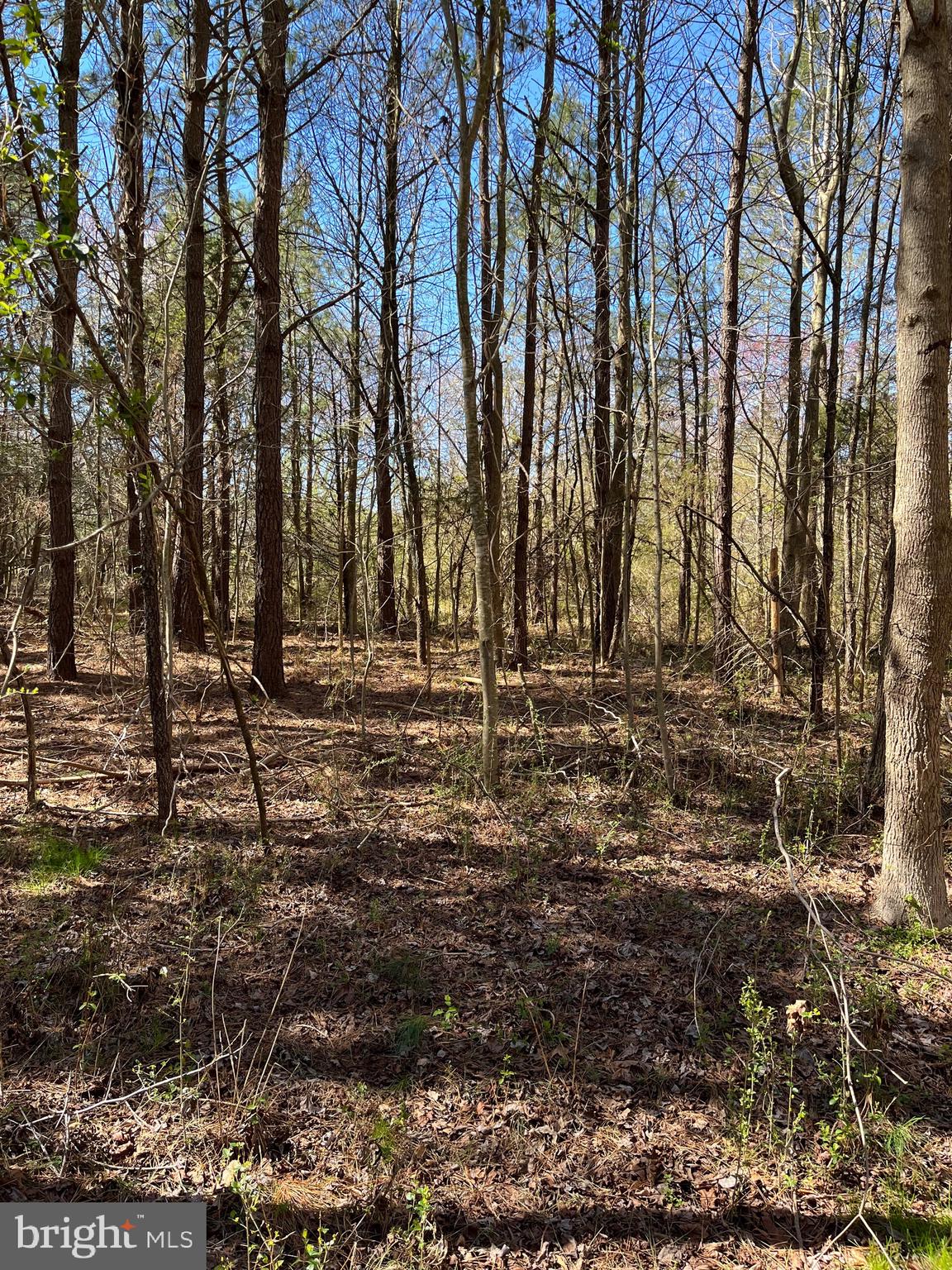 64 Unionville Road Pocomoke City, MD 21851 - Photo 5 of 5