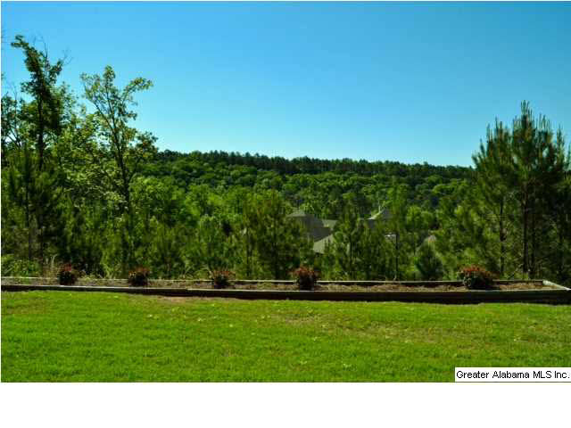 929 Narrows Point Drive Birmingham, AL 35242 - Photo 16 of 17