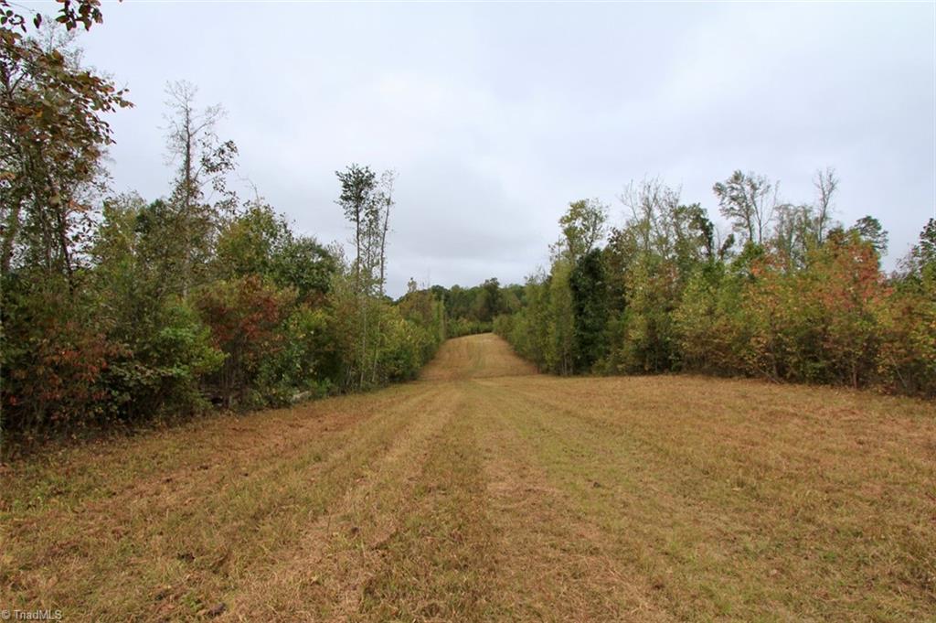 60 Neelley Road Pleasant Garden, NC 27313 - Photo 22 of 34 Gallery Image 22