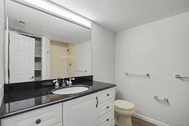 a bathroom with a sink and a toilet