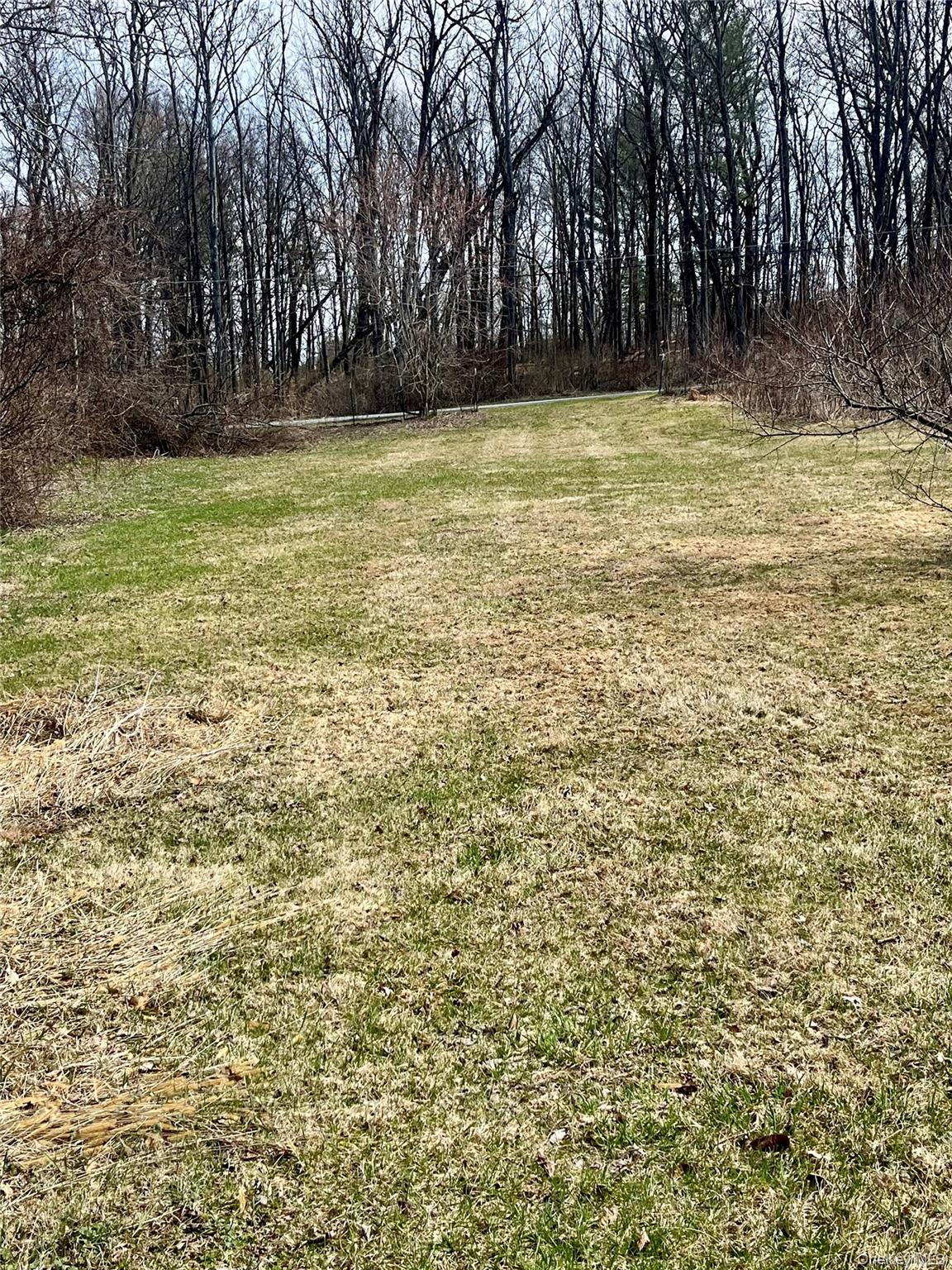 6 New Road Montgomery, NY 12549 - Photo 3 of 31