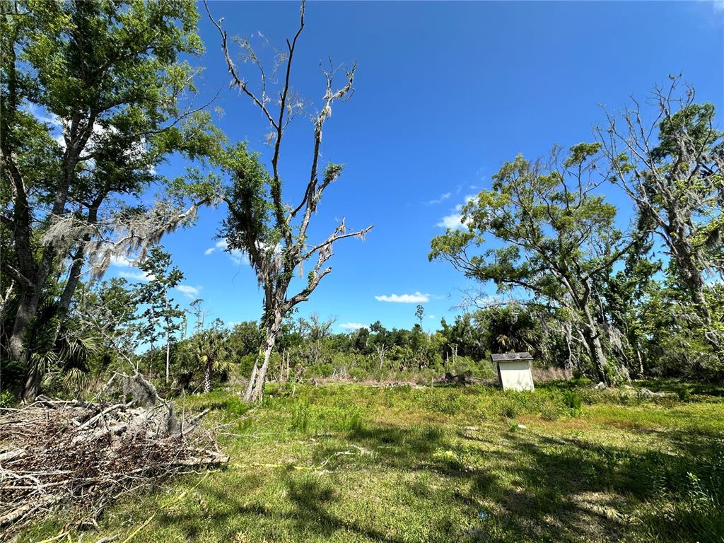 823 South Warner Avenue Perry, FL 32348 - Photo 29 of 30 a view of a garden
