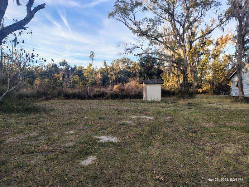 823 South Warner Avenue Perry, FL 32348 - Photo 6 of 30 a view of a outdoor space with trees