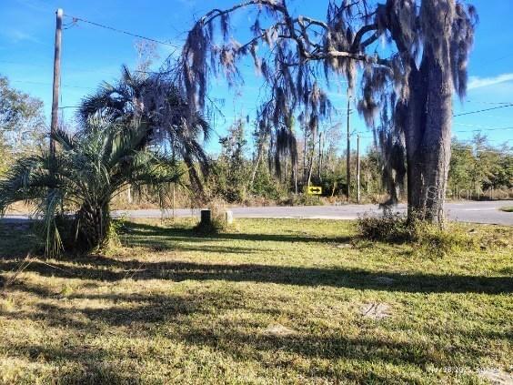 823 South Warner Avenue Perry, FL 32348 - Photo 7 of 30 a view of a yard with a tree