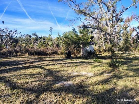 823 South Warner Avenue Perry, FL 32348 - Photo 8 of 30 a view of a yard with wooden fence
