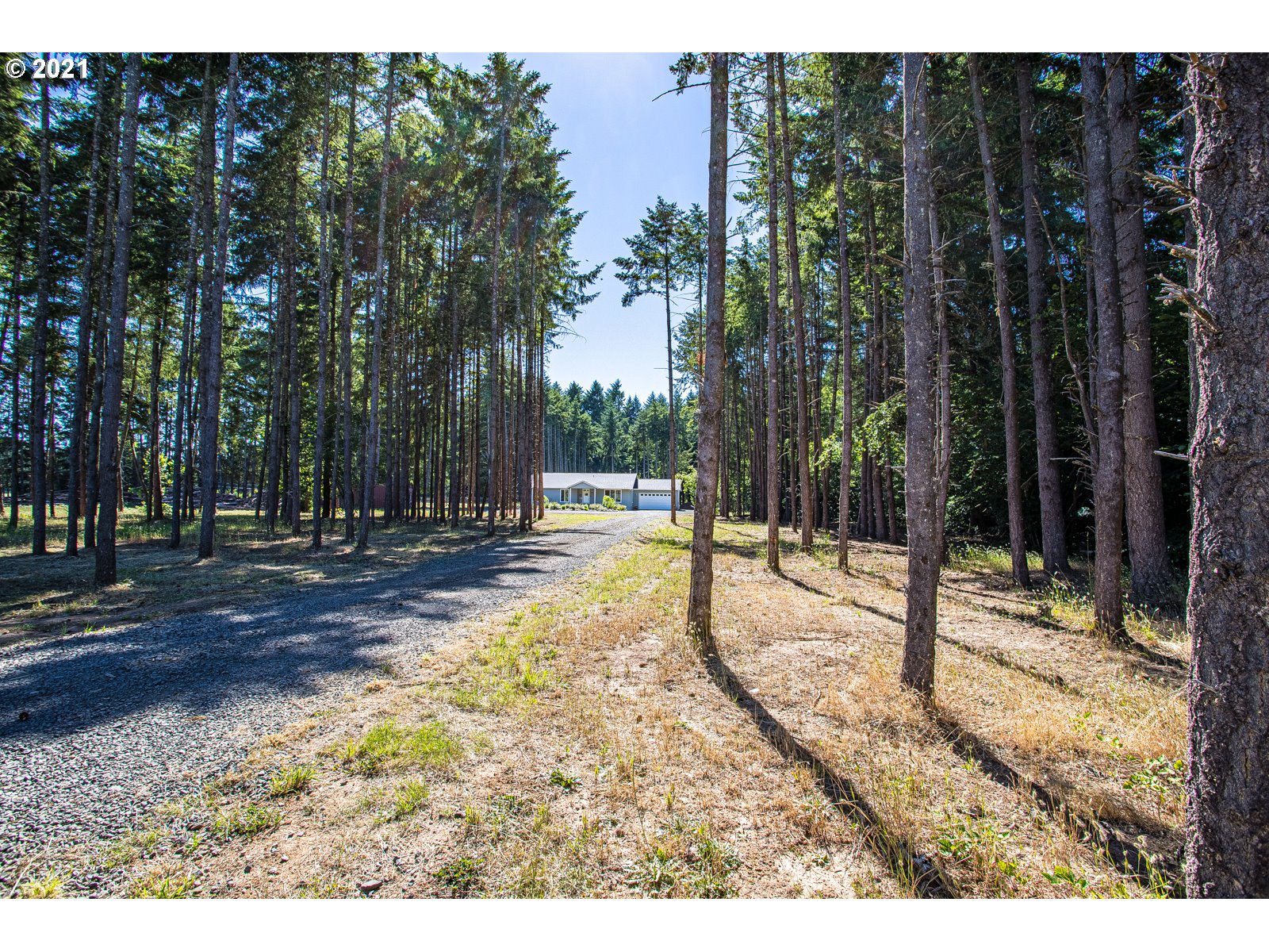 90434 Alvadore Road Junction City, OR 97448 - Photo 26 of 32 Gallery Image 26