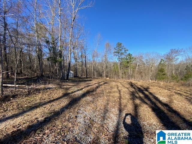 569 Ridge View Drive, Unit 5 AC Trussville, AL 35173 - Photo 6 of 21