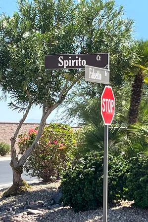 a view of a street with large trees