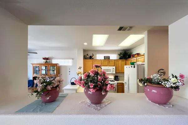 a view of a dining room with lots of potted plants
