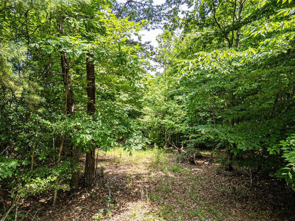 2 Stormy Ridge Brasstown, NC 28902 - Photo 7 of 16