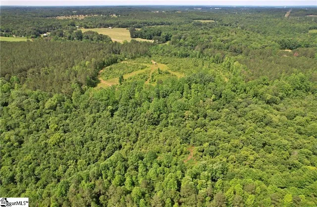 $139,950 | Lot 1 Mill Pine Road, Central, SC 29630