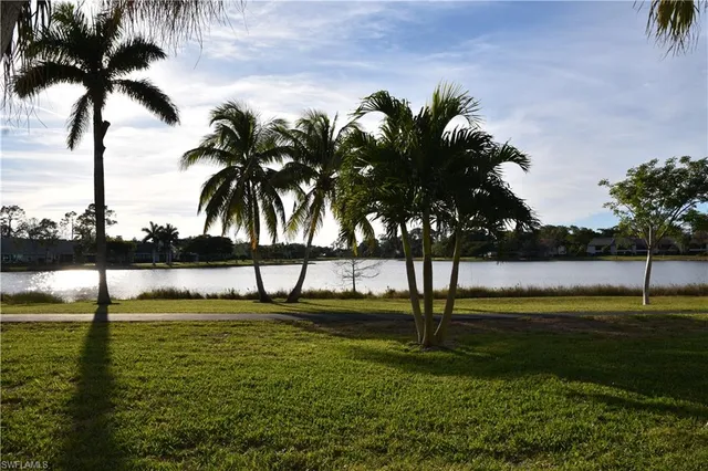a view of a backyard with a trampoline