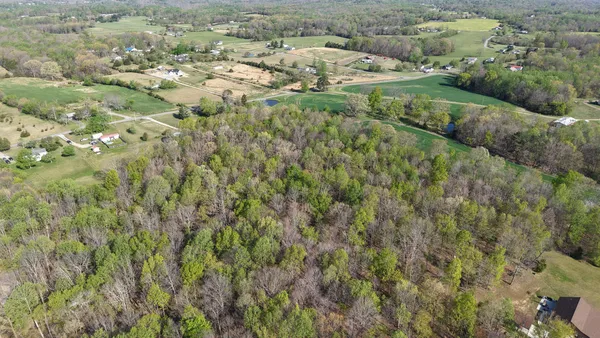 an aerial view of residential houses with outdoor space and trees