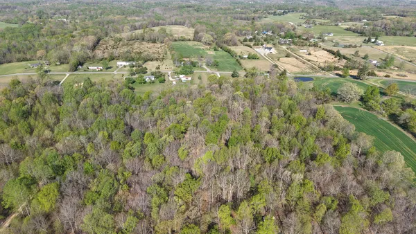 an aerial view of residential houses with outdoor space and trees