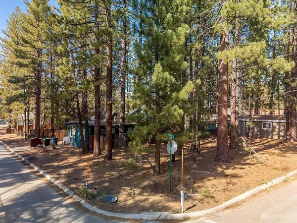 a view of a park with of trees