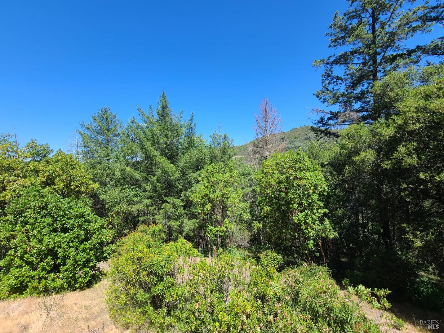 3620 Eel River Ranch Road Covelo, CA 95428 - Photo 18 of 27 a view of a garden
