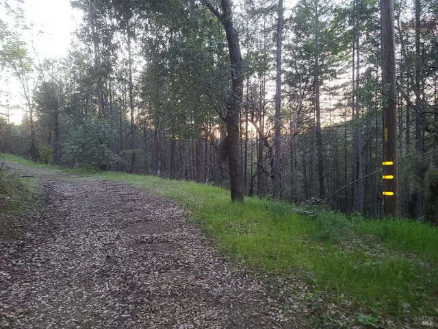 a backyard of a house with lots of green space and trees