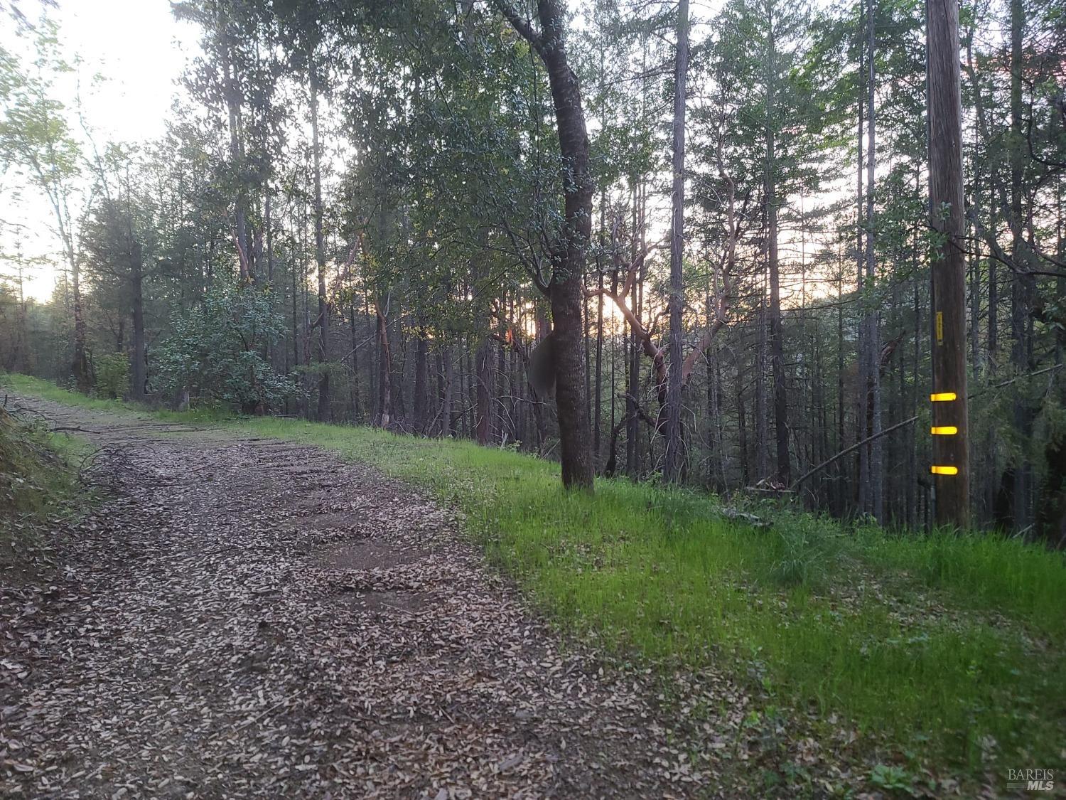3620 Eel River Ranch Road Covelo, CA 95428 - Photo 6 of 27 a backyard of a house with lots of green space and trees