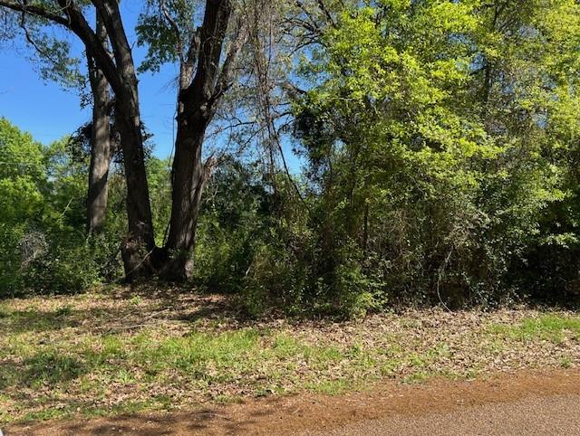 0 Timber Crest Mabank, TX 75156 - Photo 1 of 1 a view of backyard with green space