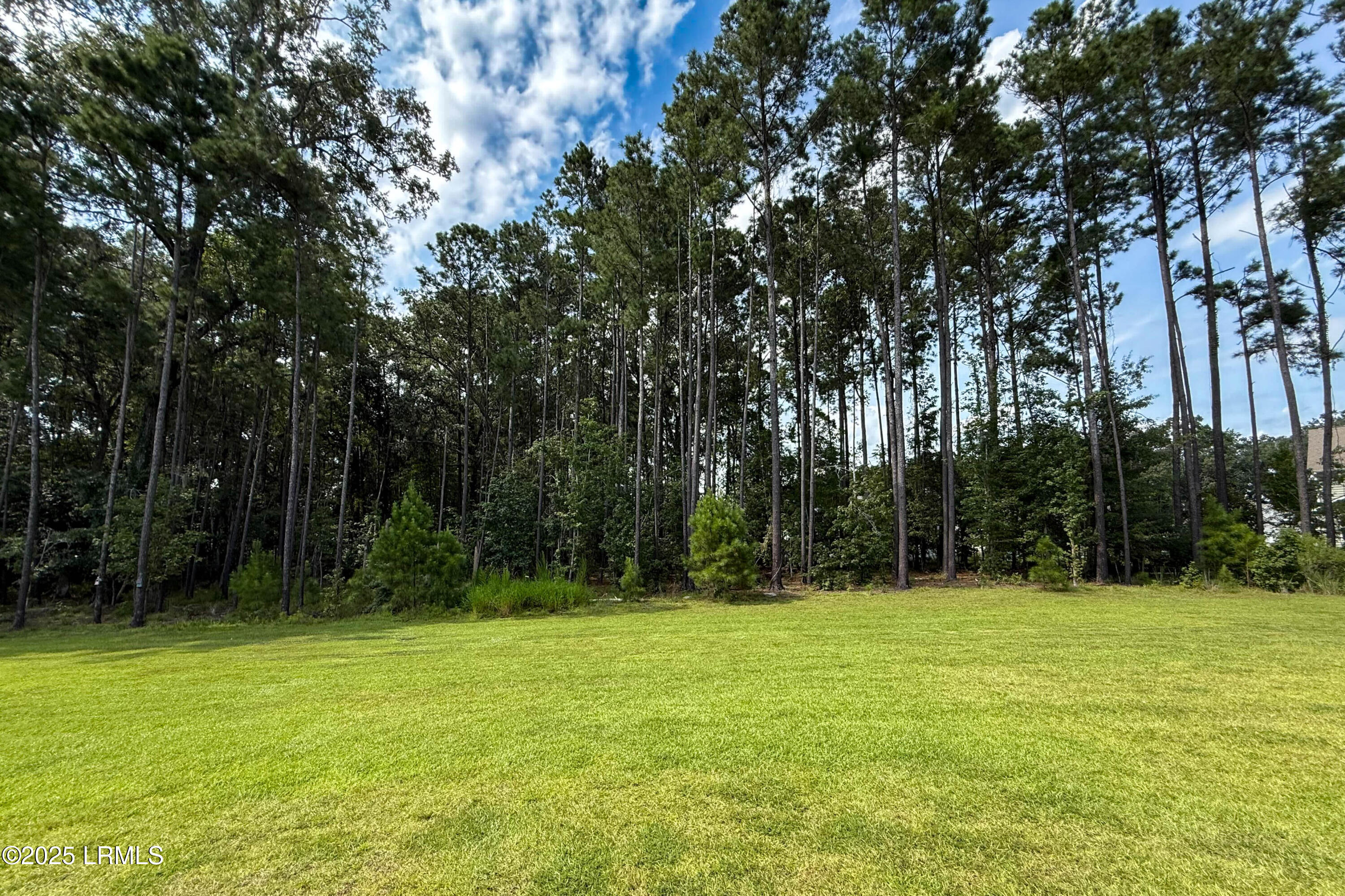 481 Rye Creek Circle Bluffton, SC 29909 - Photo 36 of 46 35