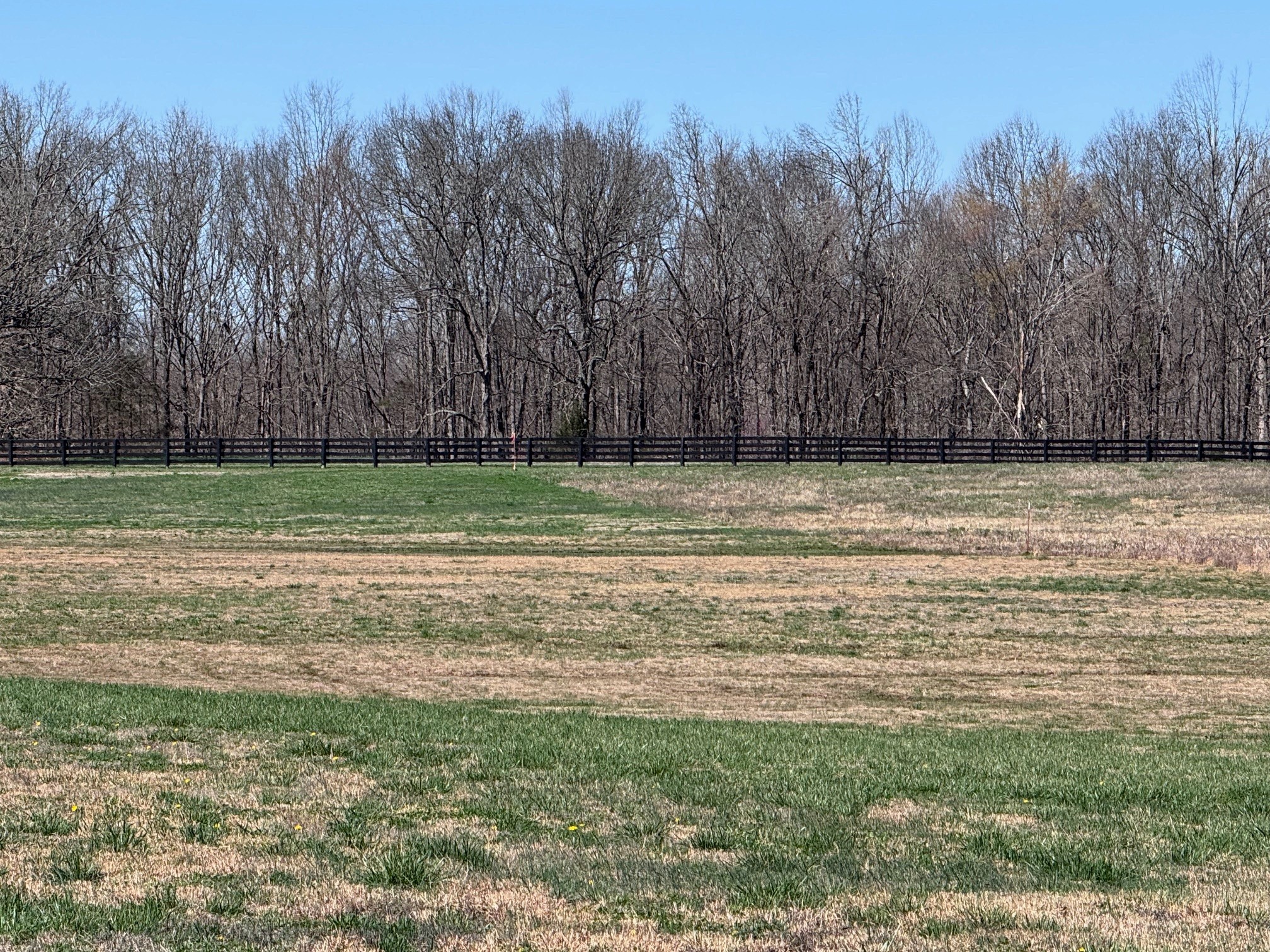 0 Gil Hodges Road Portland, TN 37148 - Photo 3 of 4 Gallery Image 3