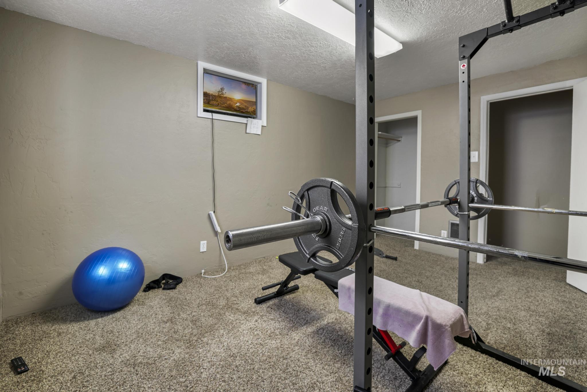 721 Beta Circle Twin Falls, ID 83301 - Photo 28 of 28 Exercise room with a textured ceiling and carpet