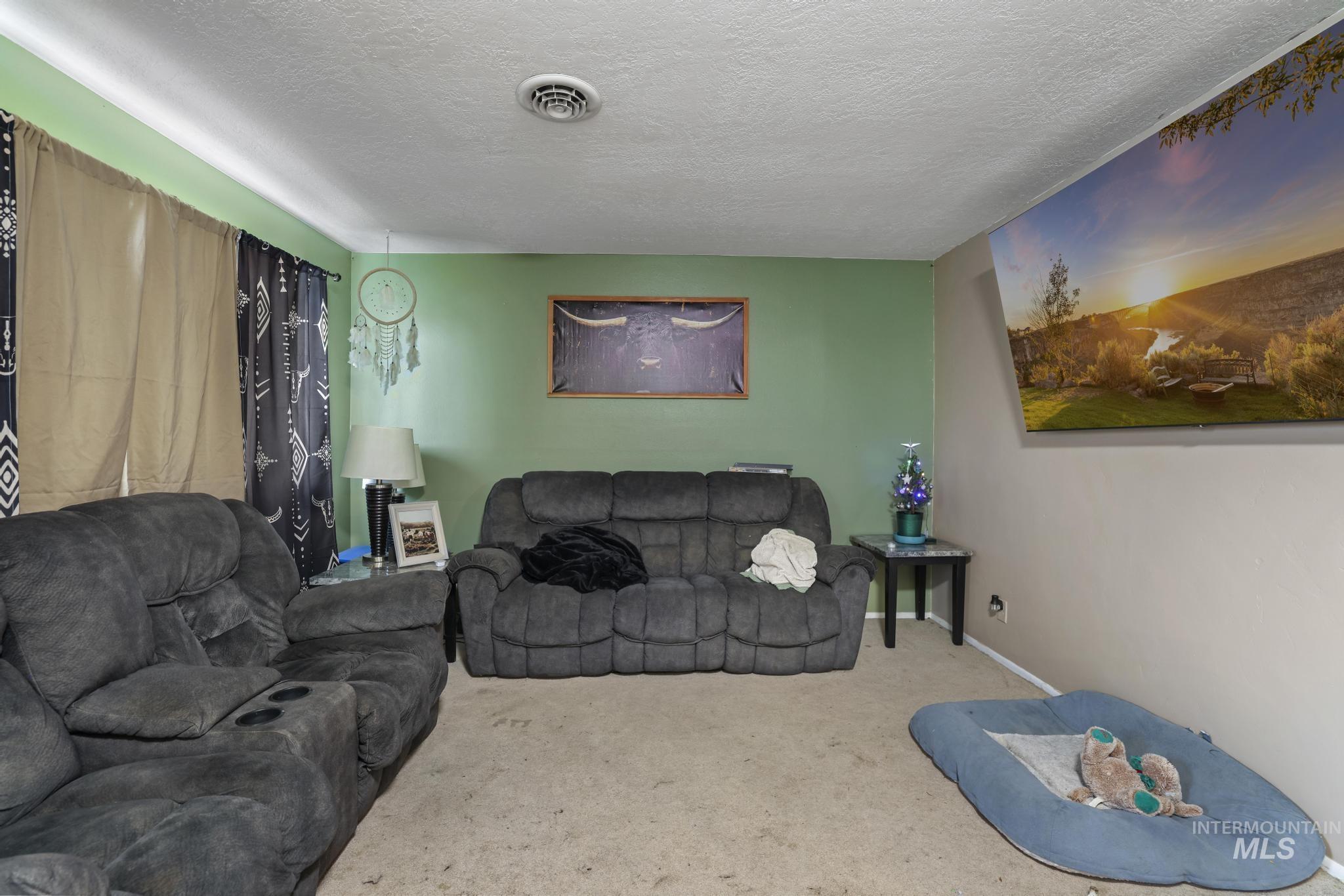 721 Beta Circle Twin Falls, ID 83301 - Photo 8 of 28 Carpeted living room with a textured ceiling