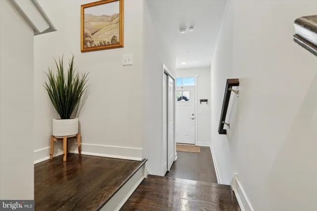a view of a hallway with wooden floor and a potted plant