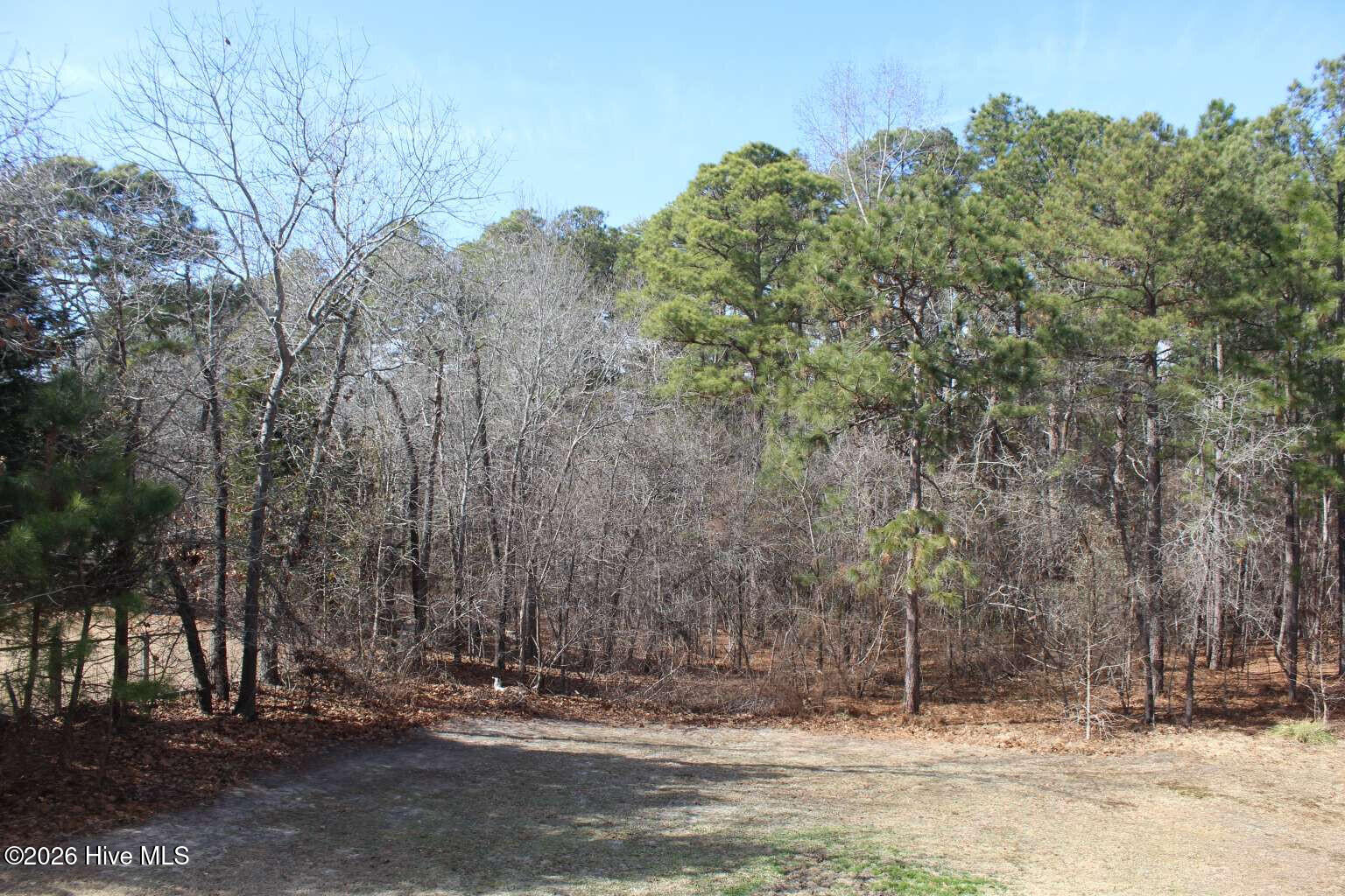 37 Princess Gate Whispering Pines, NC 28327 - Photo 48 of 50 Mckinnon.48