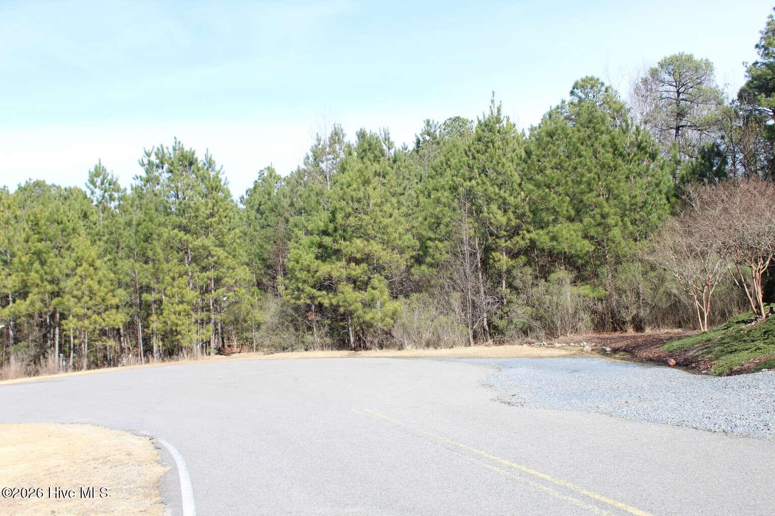 37 Princess Gate Whispering Pines, NC 28327 - Photo 50 of 50 Mckinnon.50