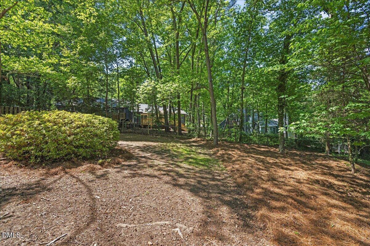 3312 Bearskin Court Raleigh, NC 27606 - Photo 26 of 37 28-2A1A5749
