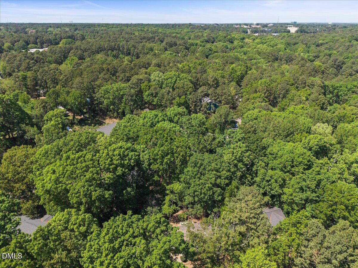 3312 Bearskin Court Raleigh, NC 27606 - Photo 34 of 37 34-DJI_20260418014533_0083_D