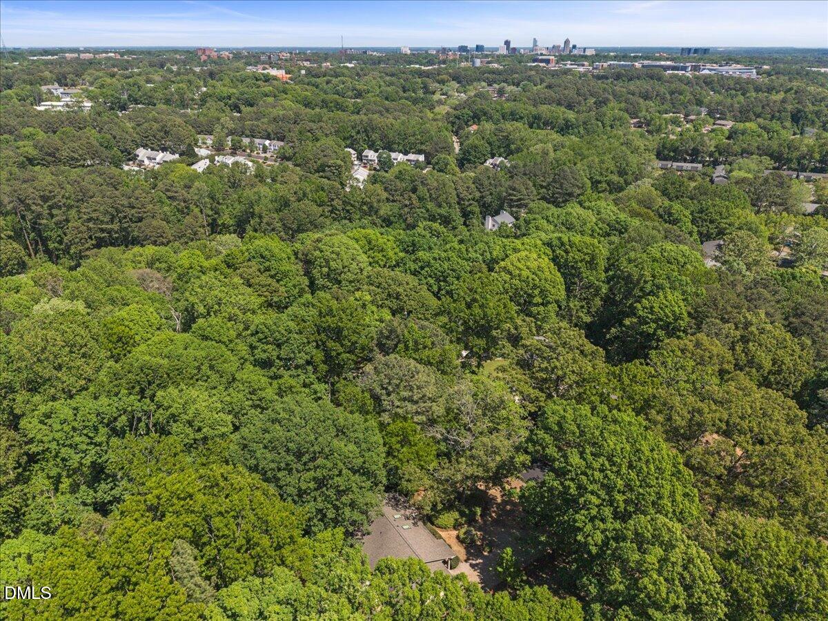 3312 Bearskin Court Raleigh, NC 27606 - Photo 36 of 37 36-DJI_20260418014615_0089_D