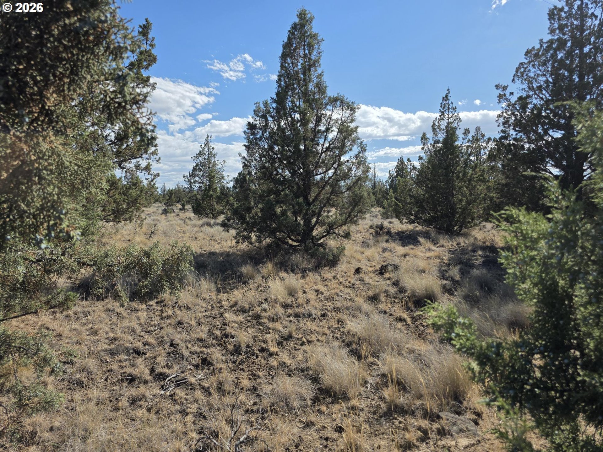 0 Southeast Cayuse Road, Unit TL900 Prineville, OR 97754 - Photo 5 of 8