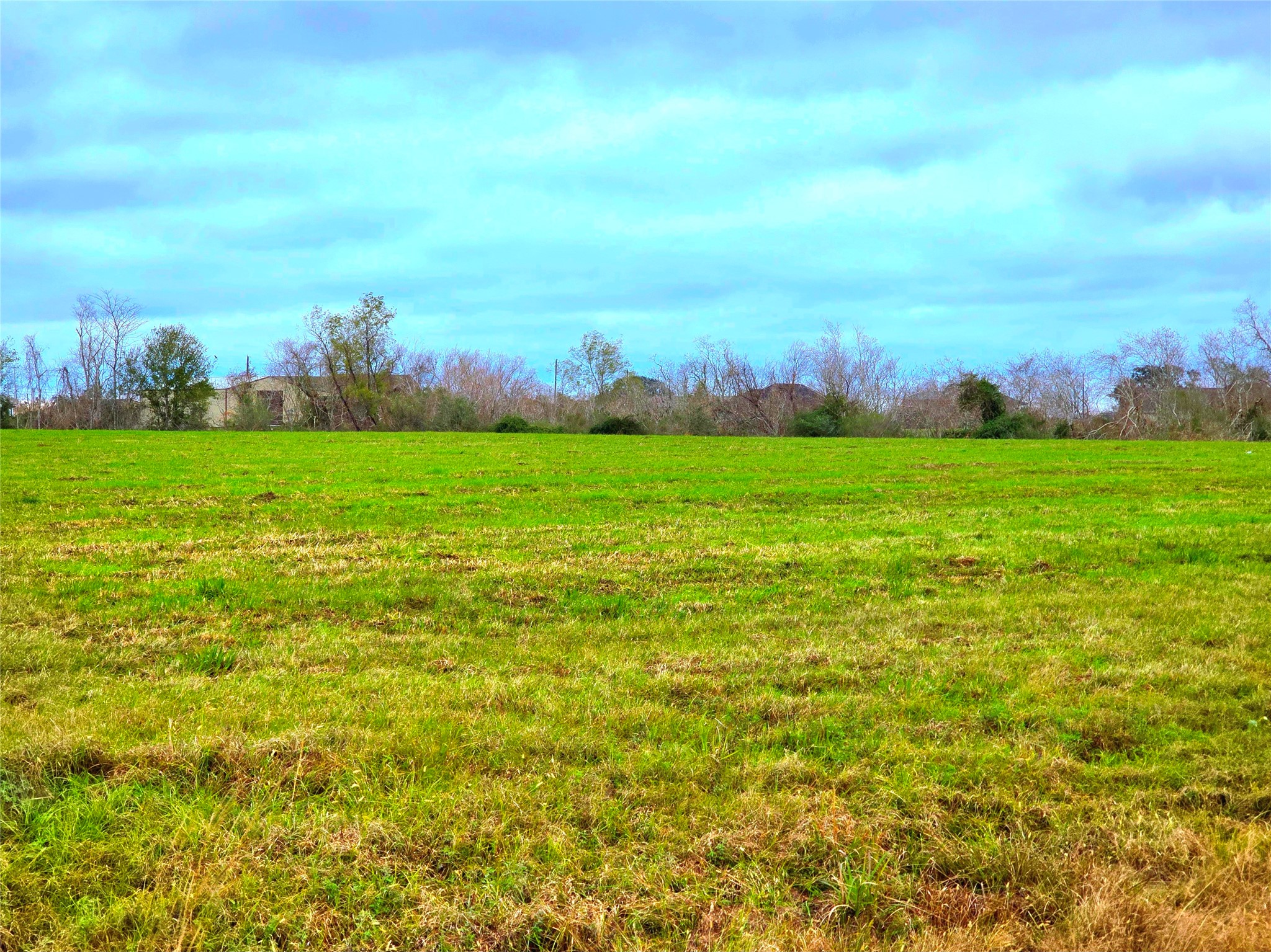 808 Chuckwagon Trail Angleton, TX 77515 - Photo 20 of 21