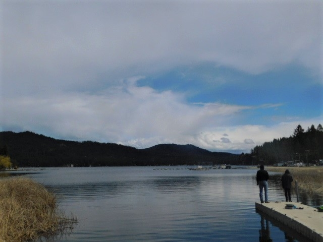 3799 Mark Road Loon Lake, WA 99148 - Photo 2 of 17 Gallery Image 2