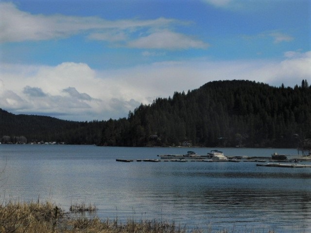 3799 Mark Road Loon Lake, WA 99148 - Photo 4 of 17 Gallery Image 4