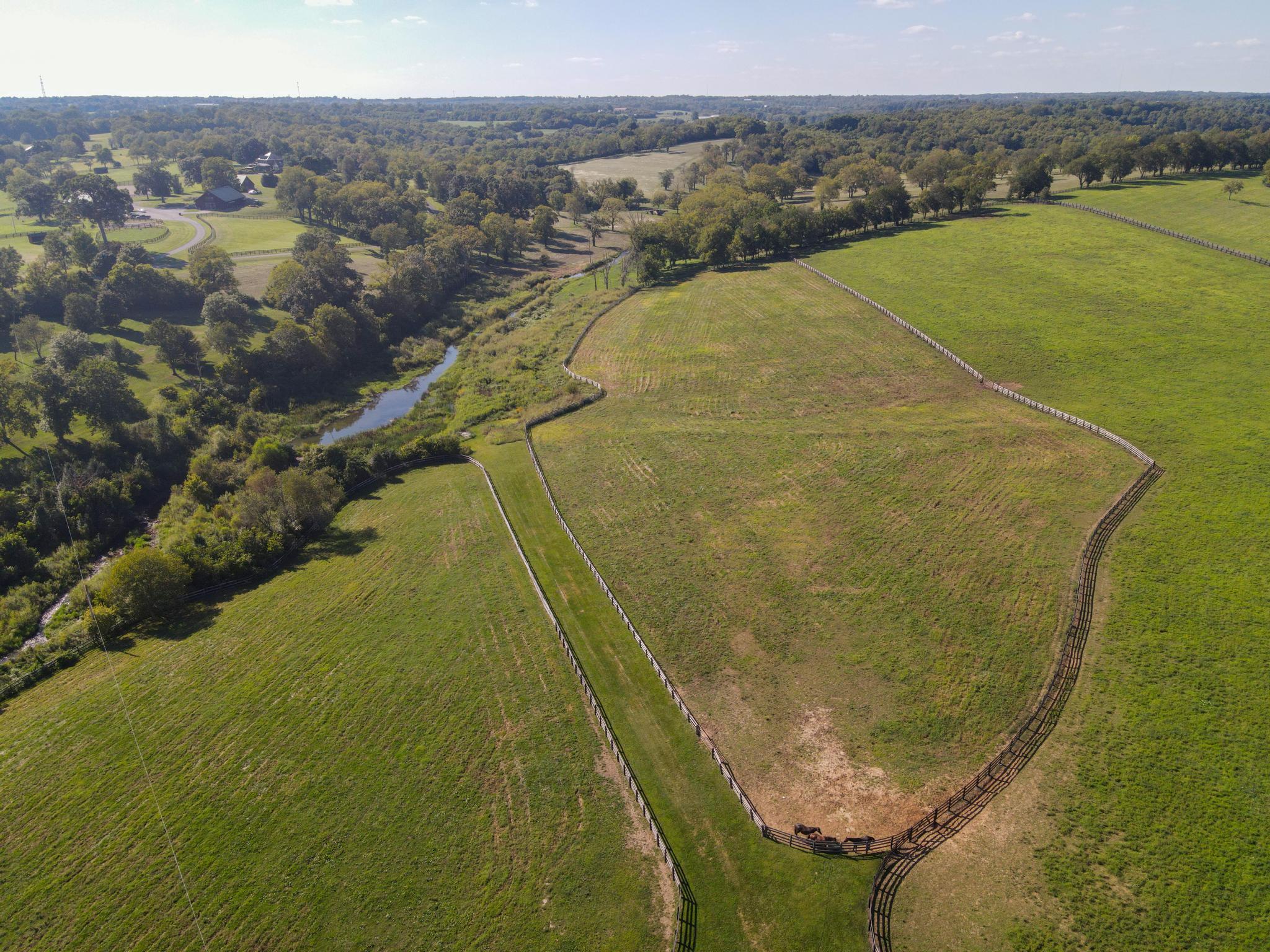 625 Gentry Road Lexington, KY 40509 - Photo 50 of 61 DJI_0975
