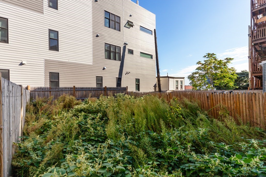 150 Falcon Street Boston, MA 02128 - Photo 21 of 26 Gallery Image 21