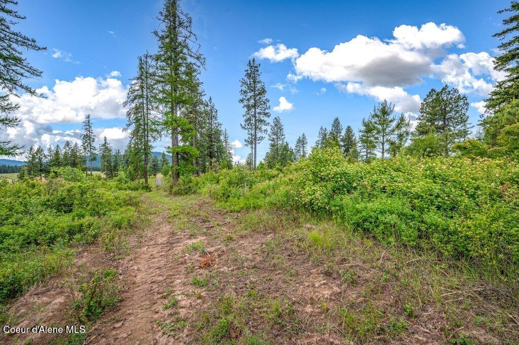 1 Freedom Way Road Plummer, ID 83851 - Photo 19 of 34 --26.jpg-SMALL