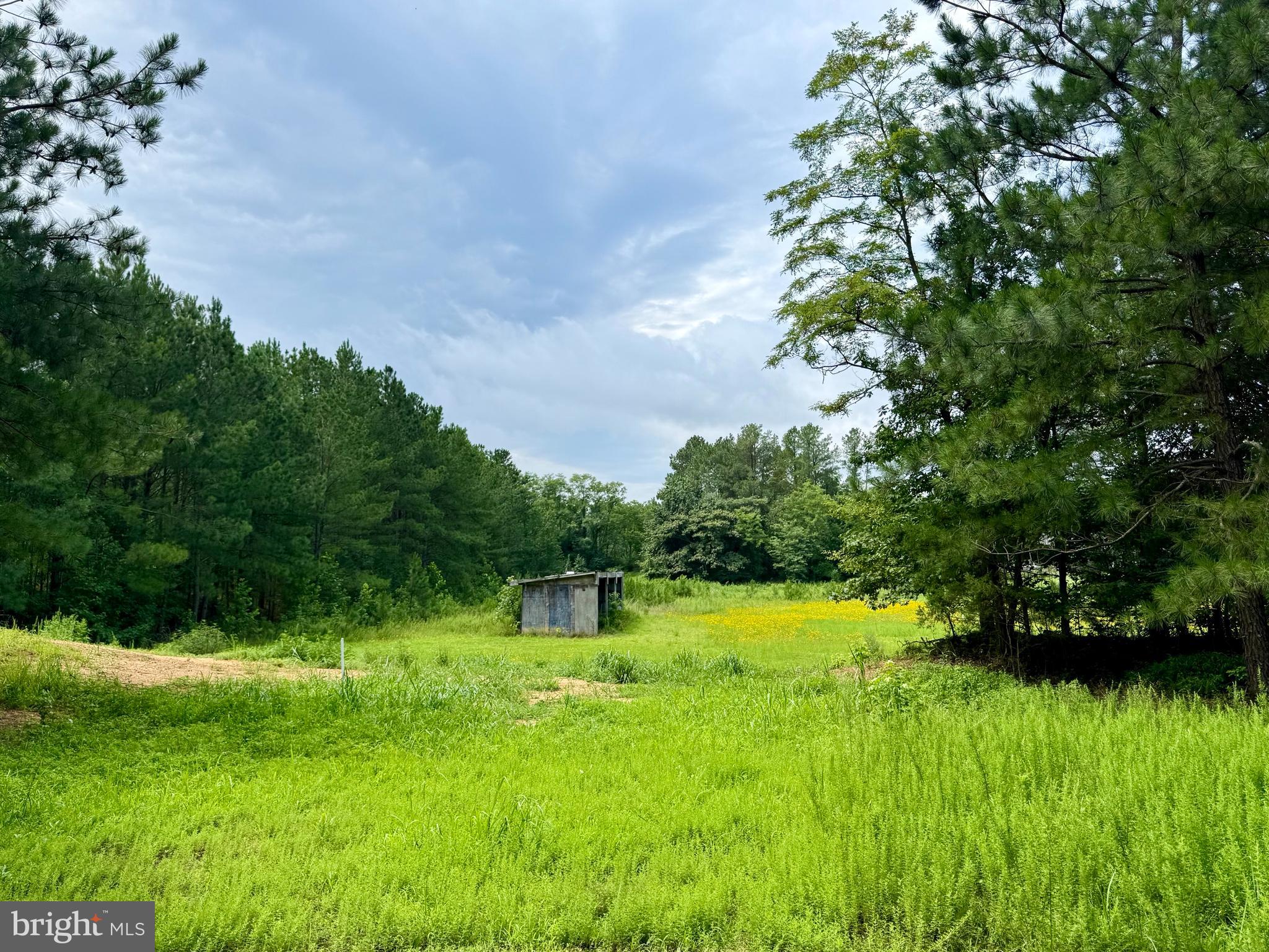 45291 Take It Easy Ranch Road Callaway, MD 20620 - Photo 4 of 9 Gallery Image 4