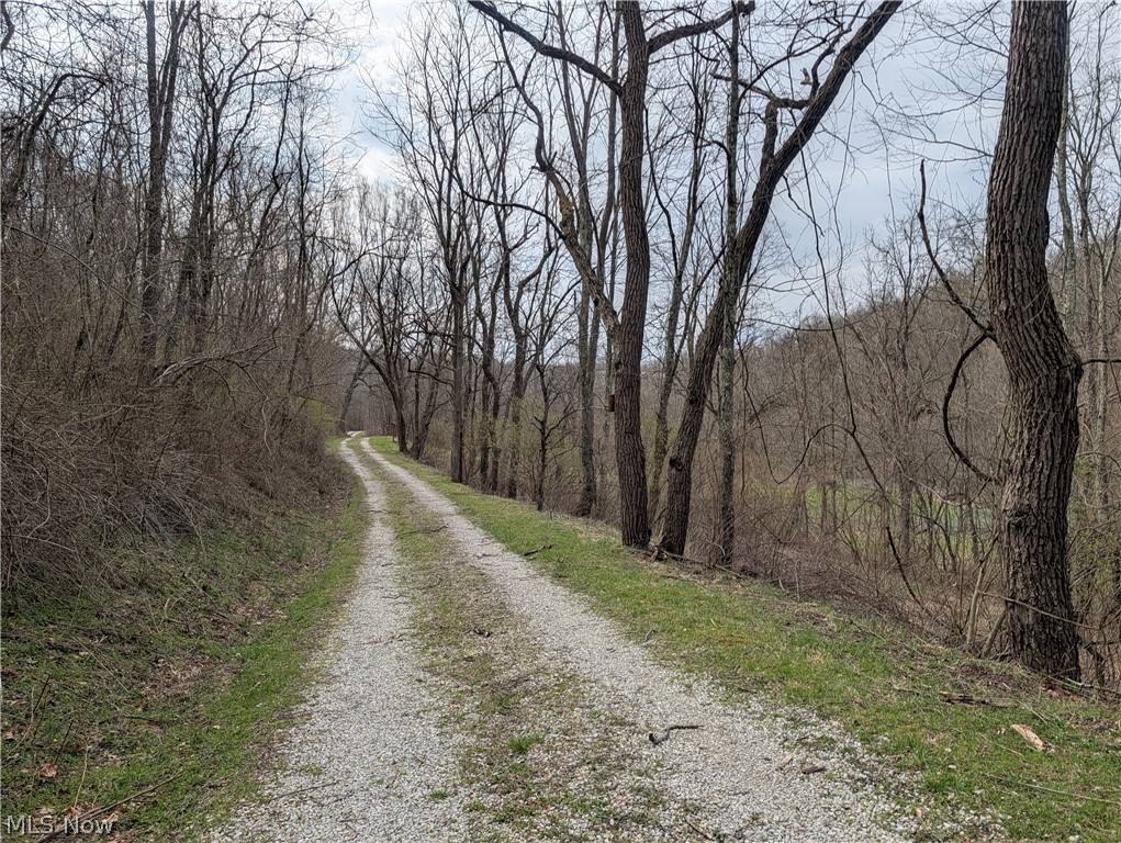 39000 Lees Run Road Cadiz, OH 43907 - Photo 9 of 49